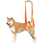Rear Leg Assist Harness Senior Older Dogs Disabled Dogs Rehabilitation Exercise Harnesses Upstairs Assistance Harnesses（JD007DC）